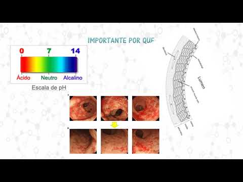 Video: ¿Hay una enzima digestiva de proteínas en el jugo pancreático?