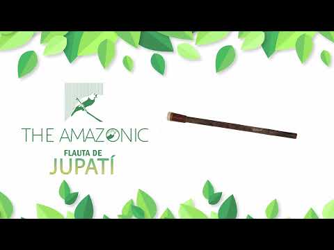 27   Jupati