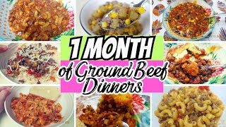 20 AMAZING Ground Beef Dinners | Easy Recipes for a Large family  | Frugal Meal Ideas