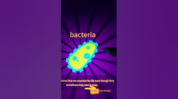 How to make Bacteria 🦠- Little Alchemy 2 #shorts #viral #littlealchemy