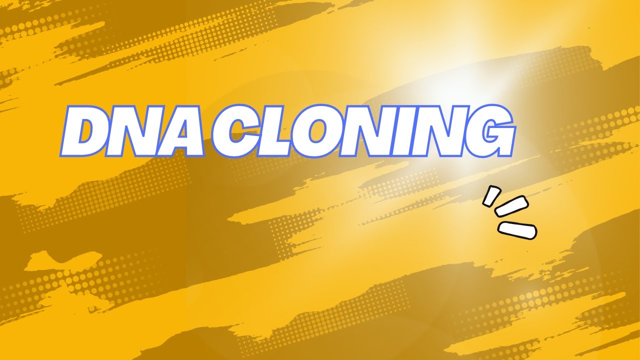 DNA cloning YouTube