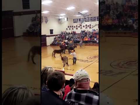 Donkey Ball at Tellico Plains High School!