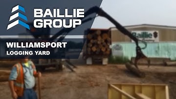 Loading containers with hardwood logs