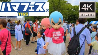 ハマフェスY165・横浜の大規模な祭典を散歩 Walking Through ”Hamafes