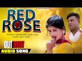 Red rose  hariom saini gohana  anjali yadav  new haryanvi songs 2024  ashu morkhi  song 2024