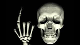 Skeleton synced Lucifer Waltz