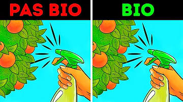 Quels sont les aliments à consommer bio ?