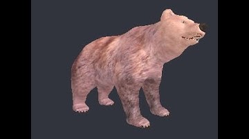 3D Model of bear - file Cadnav.com_B08023792.max