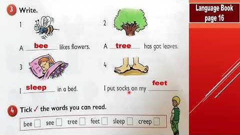 What a mess! Grammar and Phonics Answer Key Video