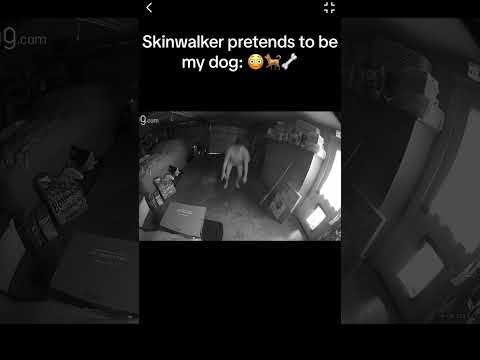Skinwalker DISGUISED As DOG 