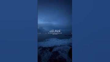 القرآن الكريم #اكسبلور #المصحف #دويتو #الرحمن #القرآن_الكريم #تيك_توك #رمضان #لايك