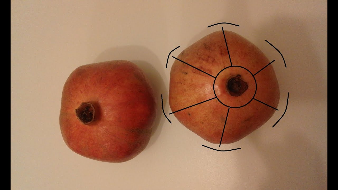 WIE SCHNEIDET MAN GRANATAPFEL Wie schneidet man granatapfel