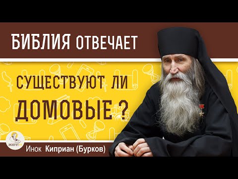 Существуют ли ДОМОВЫЕ ?  Инок Киприан (Бурков)