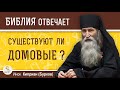 Существуют ли ДОМОВЫЕ ?  Инок Киприан (Бурков)