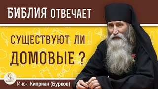 Существуют ли ДОМОВЫЕ ?  Инок Киприан (Бурков)