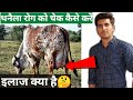 गायों में थनैला रोग को चेक कैसे करें ||mastitis in cows treatment in hindi