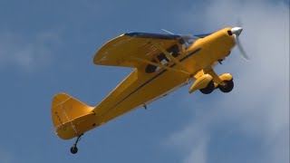 Piper PA-16 Clipper Demonstration