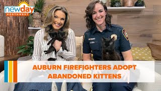 Auburn firefighters adopt abandoned kittens - New Day NW