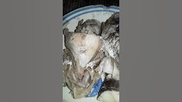 cháo cá lóc rau đắng nhà quê