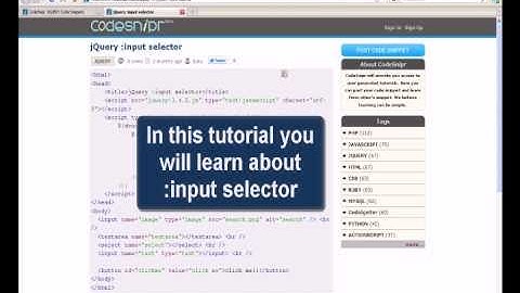 JQUERY Tutorial : jQuery input selector