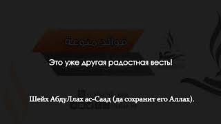 Достоинство знаний