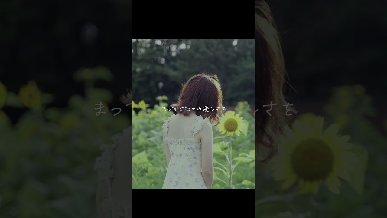 感情を沢山込めて「ひまわりの約束 / 秦基博」Cover【こはならむ】