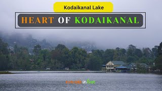 A day to remember  Kodaikanal Lake | nomads in love