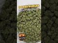 Donny Burger | THCa Indica | Bulk Wholesale Flower