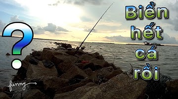 Câu cá biển câu cá thiên nhiên | khám phá địa điểm du lịch bụi hòn đá bạc cà mau
