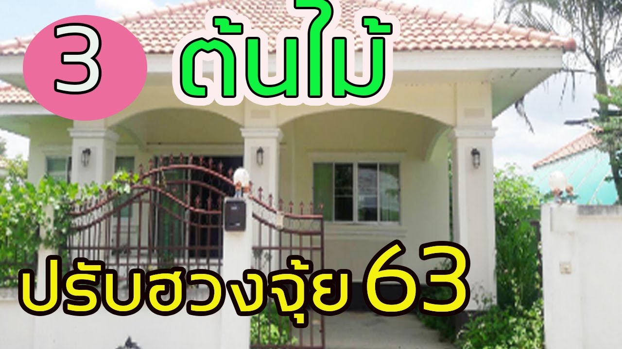 ปลูกต้นไม้หน้าบ้าน ฮวงจุ้ย New แก้ฮวงจุ้ย!!! แชร์3ต้นไม้น่าปลูกปรับฮวงจุ้ย63 เรียนเงิน ทอง บารมี โชคลาภ