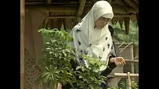 Ayo Menikah - Tim Nasyid Ar Royyan