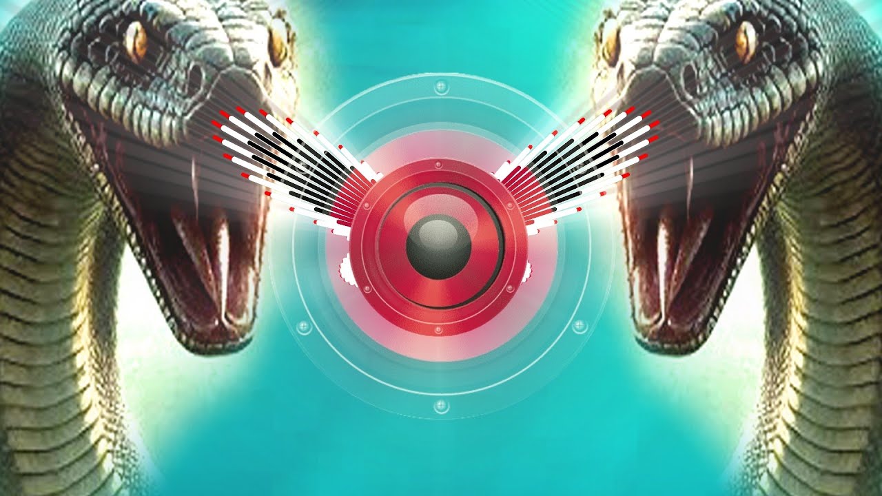 ⁣Nagin Dance 2025 | Dj Remix | Sound Check Competition नागिन धुन 2025 | नागिन डांस | Nagin Song 2025