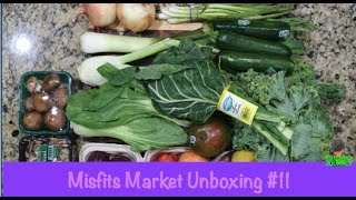 Misfits Market Unboxing    AUG 2020  Biweekly || My 11th $22 Mischief Box || Steffanie’s Journey