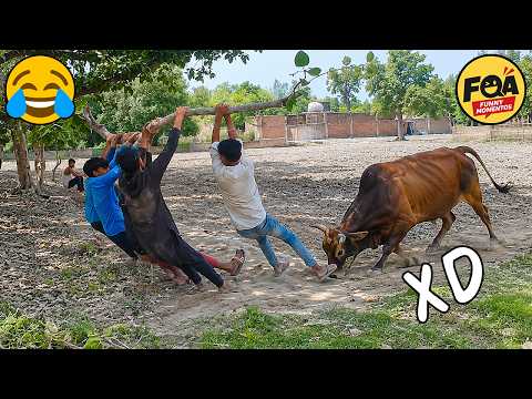 VIDEOS DE RISA 🤣 SI TE RÍES PIERDES NIVEL DIOS #3 😎HUMOR VIRAL MEXICANO🤣