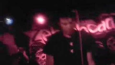 Playmate Of The Year (Live) - Zebrahead