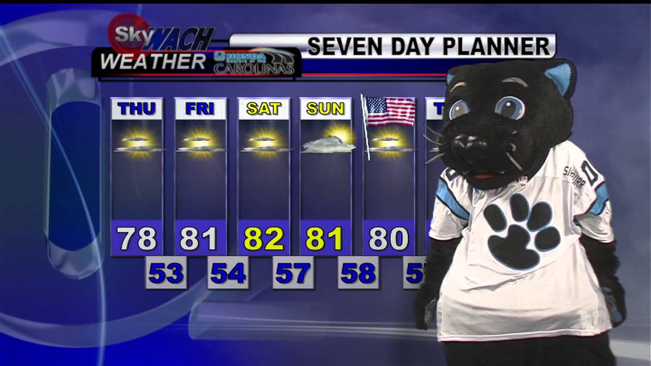 Sir Purr gives the forecast!