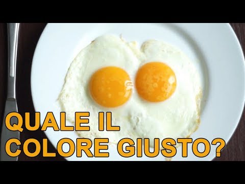 Video: Cosa Determina Il Colore Di Un Uovo Di Gallina