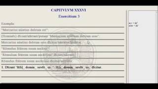 Lingua - 36.1 - Exercise Tutorial