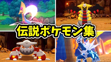 ダイパリメイク 伝説