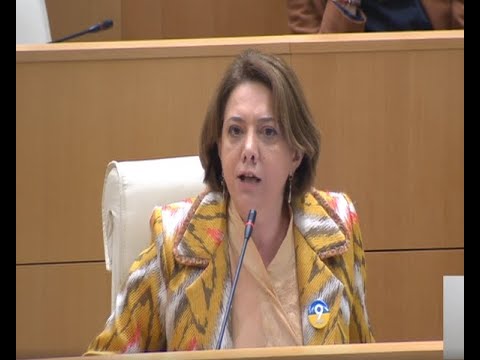 პარლამენტის თავზე რუსული დროშა იფრიალებს, პასუხის გაცემა მოგიწევთ ხალხისთვის! - სამადაშვილი