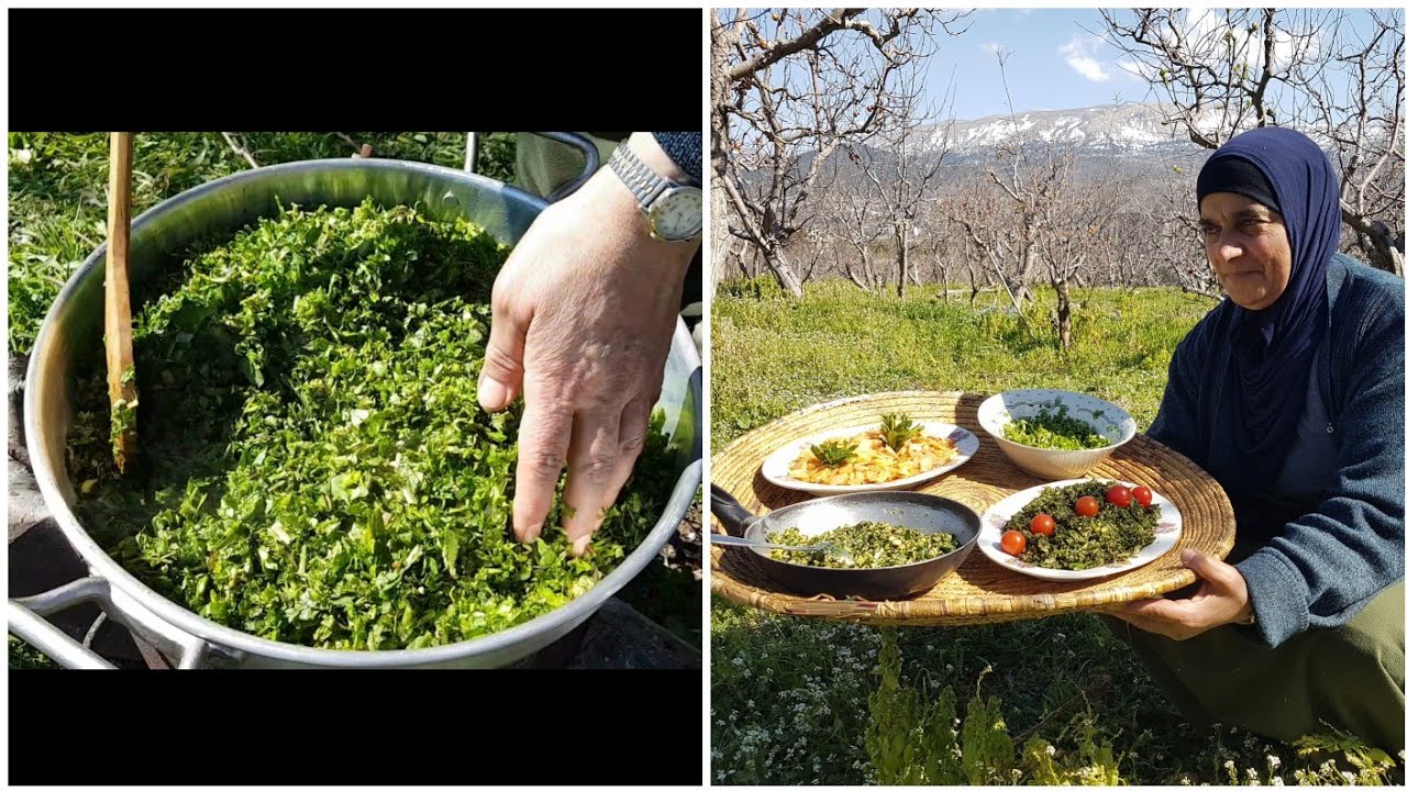 تعرفوا معنا على طريقة طبخ الحشائش البرية ووصفة تراثية نباتية من الزمن الجميييل(الجزء2)