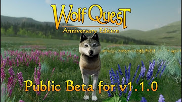 Public Beta for v1.1.0