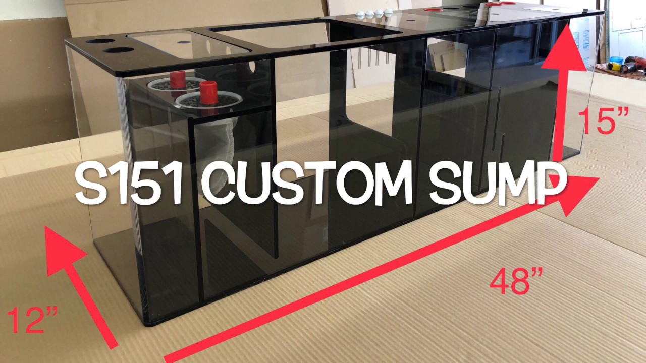 Advanced Acrylics S151 Custom Sump / (48"x15"x12") 200 Gal YouTube