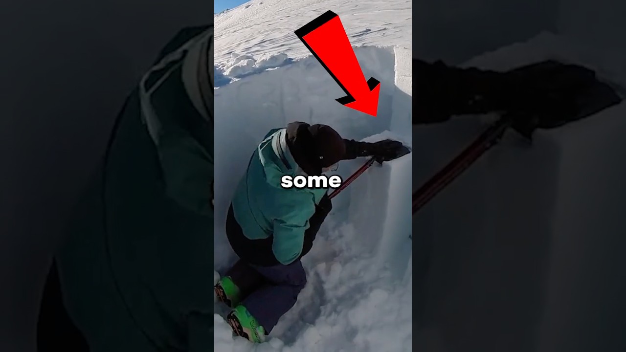 Why Are They Tapping Snow? 🤯💖