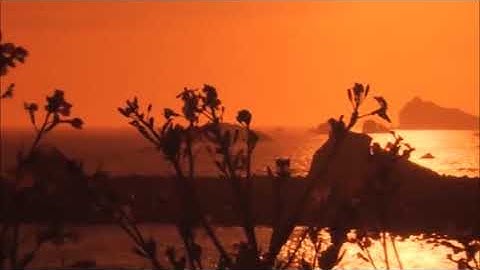 من روائع التلاوات سورة النور القارئ عبدالعزيز العسيري