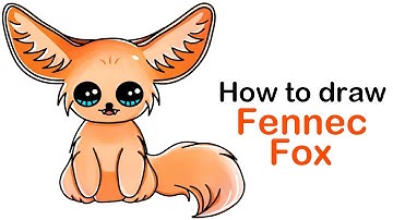 How to draw a cute fennec fox easy step by step