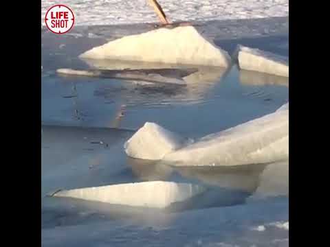 Тридцать машин провалились под лёд на острове Русский в Приморском крае
