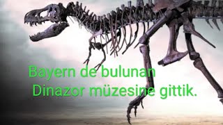 Bayern Eyaletinde Ki Dinazor Parkini Gezdik20 Mt Boyunda50 Ton Agirligi Ile Brachiosaurus Fenaydi