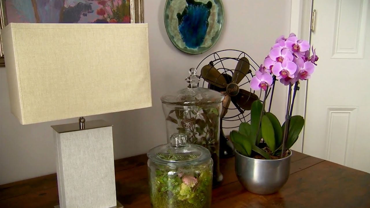 Indoor Plant Containers At Home With P Allen Smith