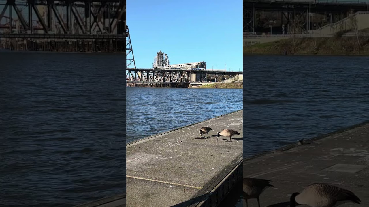 Kevin J Duckworth Memorial Dock